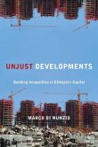 Unjust Developments