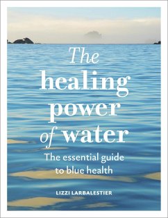 The Healing Power of Water - Larbalestier, Lizzi