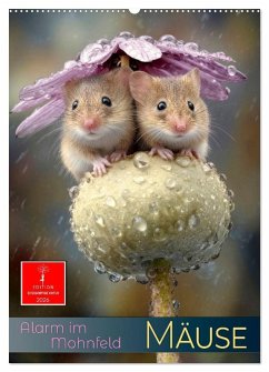 Mäuse - Alarm im Mohnfeld (Wandkalender 2026 DIN A2 hoch), CALVENDO Monatskalender