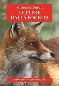Cover Lettere dalla foresta