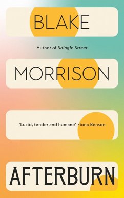 Afterburn - Morrison, Blake