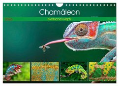 Cover Chamäleon - exotisches Reptil (Wandkalender 2026 DIN A4 quer), CALVENDO Monatskalender