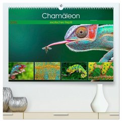 Cover Chamäleon - exotisches Reptil (hochwertiger Premium Wandkalender 2026 DIN A2 quer), Kunstdruck in Hochglanz