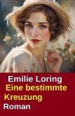 Eine bestimmte Kreuzung: Roman (eBook, ePUB)