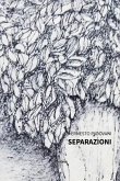 Separazioni (eBook, ePUB)