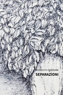 Cover Separazioni (eBook, ePUB)