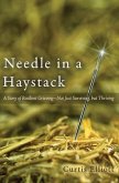 Needle in a Haystack (eBook, ePUB)