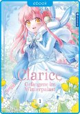 Clarice - Gefangene im Winterpalast 01 (eBook, ePUB)
