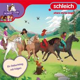 Folge 33: Ein Geburtstag mit Folgen (MP3-Download) Folge 33: Ein Geburtstag mit Folgen (MP3-Download)