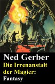 Die Irrenanstalt der Magier: Fantasy (eBook, ePUB)