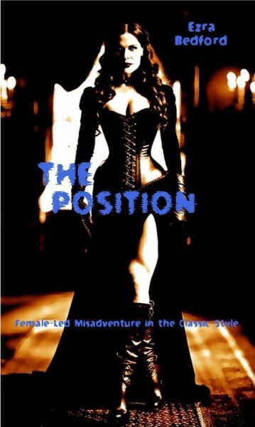 The Position (eBook, ePUB)