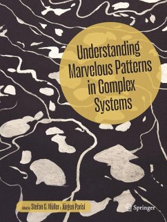 Understanding Marvelous Patterns in Complex Systems