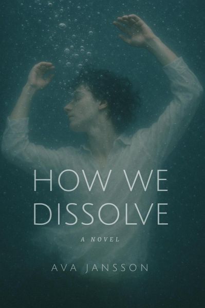 How We Dissolve (eBook, ePUB) How We Dissolve (eBook, ePUB)