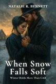 When Snow Falls Soft (eBook, ePUB)