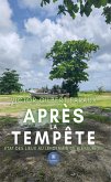 Après la tempête (eBook, ePUB)