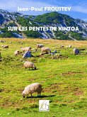 Sur les pentes de Kintoa (eBook, ePUB)