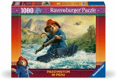 Cover Paddington in Peru