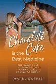 Chocolate Cake is the Best Medicine Chocolate Cake is the Best Medicine