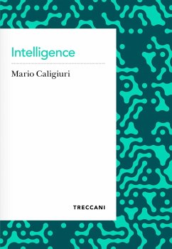 Cover Intelligence (eBook, ePUB)