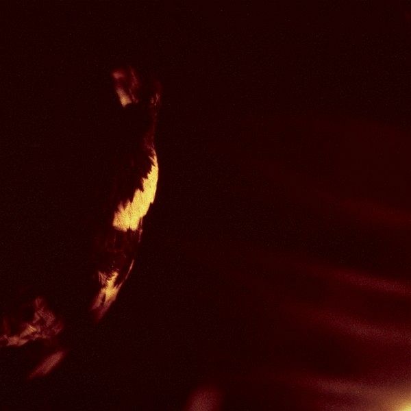 Stormcrowfleet (30th Anniversary Edition)