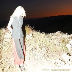 Cover Future Perfect