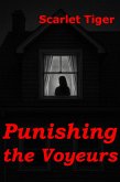 Punishing the Voyeurs (eBook, ePUB)