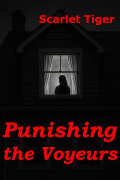 Cover Punishing the Voyeurs (eBook, ePUB)