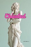 Chiseled (eBook, ePUB)