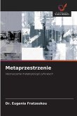 Metaprzestrzenie