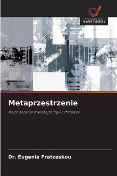 Cover Metaprzestrzenie