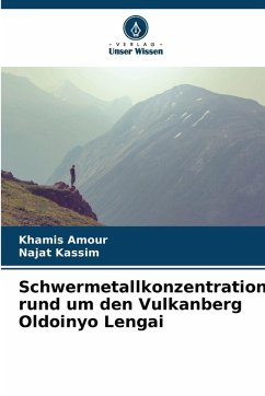 Cover Schwermetallkonzentrationen rund um den Vulkanberg Oldoinyo Lengai