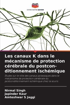 Cover Les canaux K dans le mécanisme de protection cérébrale du postcon-ditionnement ischémique