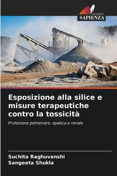 Esposizione alla silice e misure terapeutiche contro la tossicità