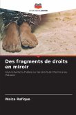 Des fragments de droits en miroir Des fragments de droits en miroir