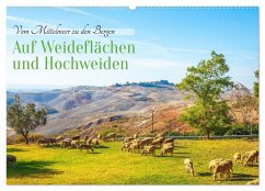 Cover Auf Weideflächen und Hochweiden (Wandkalender 2026 DIN A2 quer), CALVENDO Monatskalender