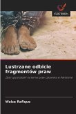 Lustrzane odbicie fragmentów praw Lustrzane odbicie fragmentów praw