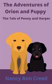 The Adventure of Orion and Puppy The Adventure of Orion and Puppy