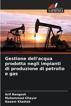 Gestione dell'acqua prodotta negli impianti di produzione di petrolio e gas Cover Gestione dell'acqua prodotta negli impianti di produzione di petrolio e gas