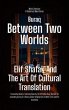 Between Two Worlds (eBook, ePUB) - Bild 1
