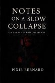 Notes on a Slow Collapse (eBook, ePUB)