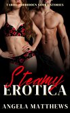 Steamy Erotica (eBook, ePUB)