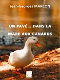 Un pavé... dans la mare aux canards (eBook, ePUB)