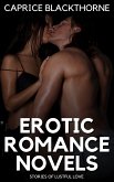 Erotic Romance Novels (eBook, ePUB)