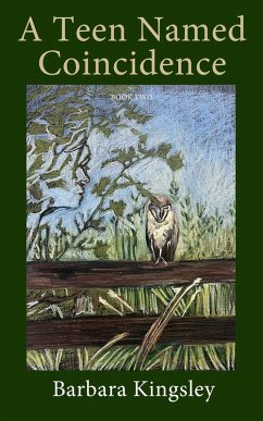 Cover A Teen Named Coincidence (A Girl Named Coincidence, #2) (eBook, ePUB)