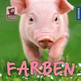 Sehen und Staunen - Farben (Mängelexemplar) Sehen und Staunen - Farben (Mängelexemplar)