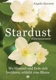 Stardust (eBook, ePUB)