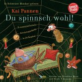 Du spinnsch wohl!: Eine aussergewöhnliche Adventsgeschichte in 24 Kapiteln (MP3-Download)