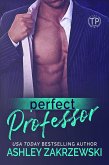Perfect Professor (Tainted Professors, #1) (eBook, ePUB)