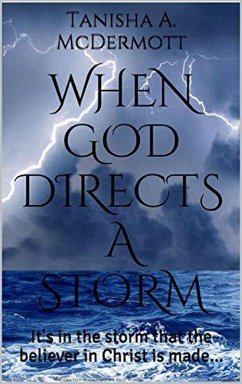 Cover When God Directs a Storm (eBook, ePUB)