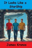 It Looks Like A Starship (Incidence in Orbit, #1) (eBook, ePUB)